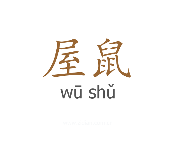 屋鼠