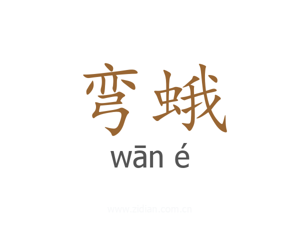 弯蛾