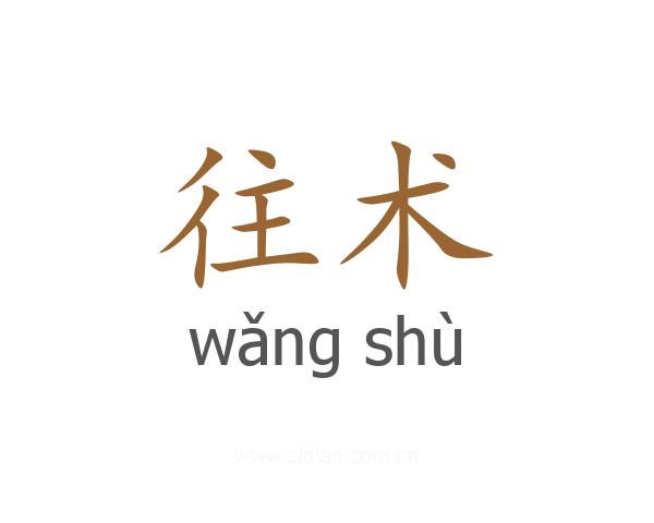 往术