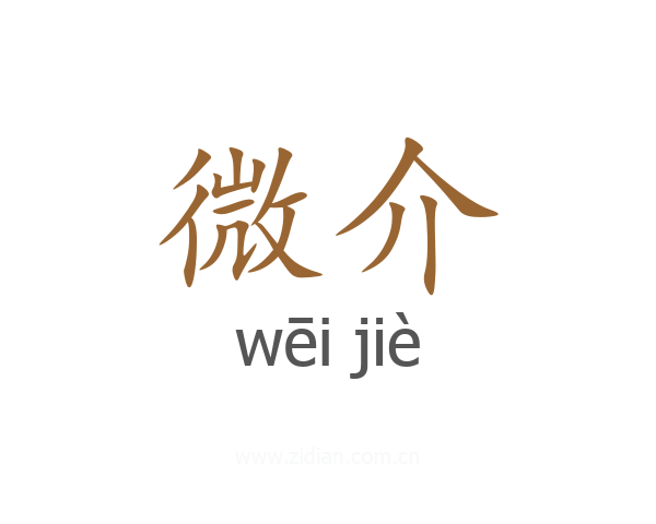 微介