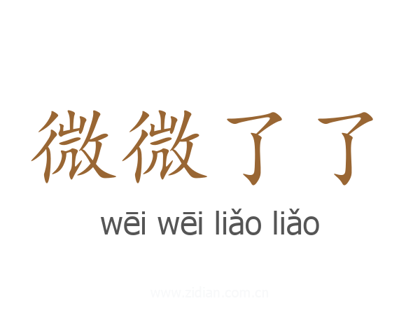 微微了了