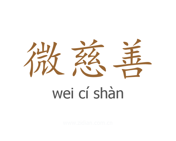微慈善