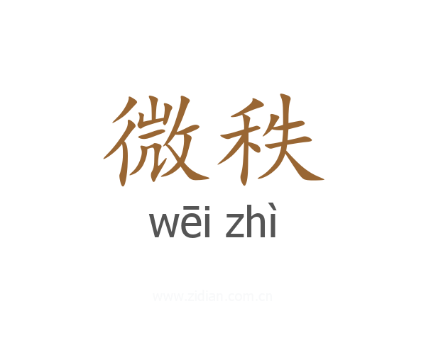 微秩