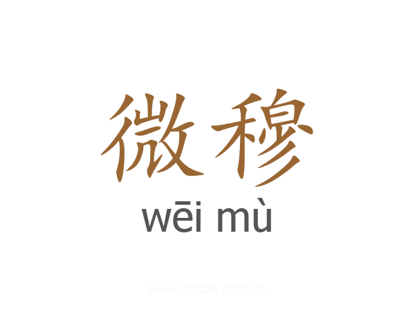 微穆