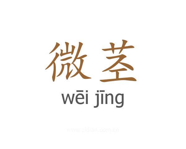 微茎