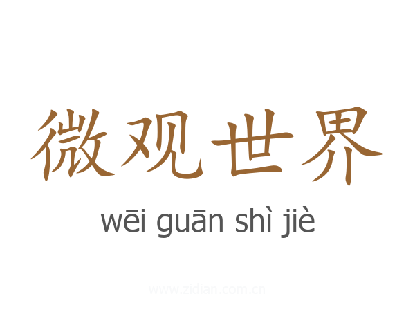 微观世界