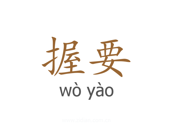 握要