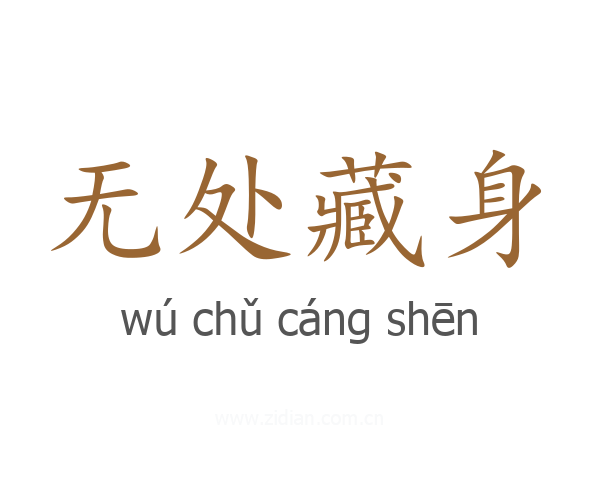 无处藏身