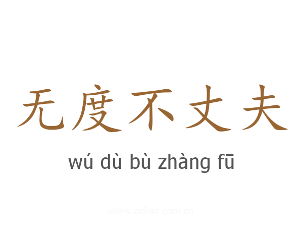 无度不丈夫