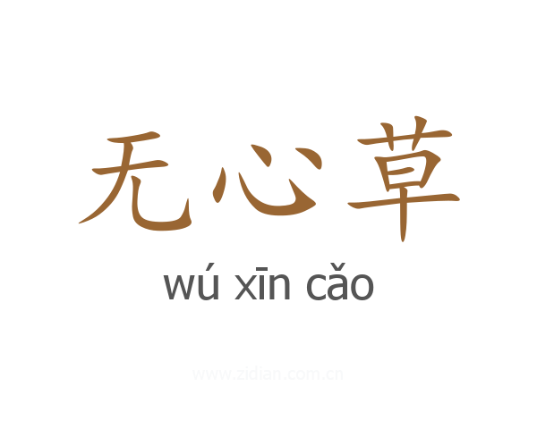 无心草