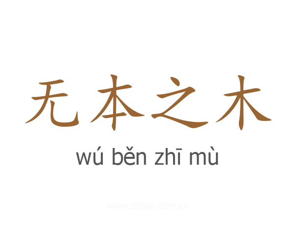无本之木