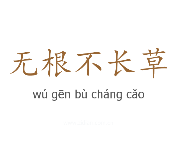 无根不长草