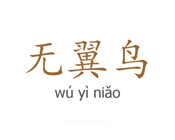 无翼鸟