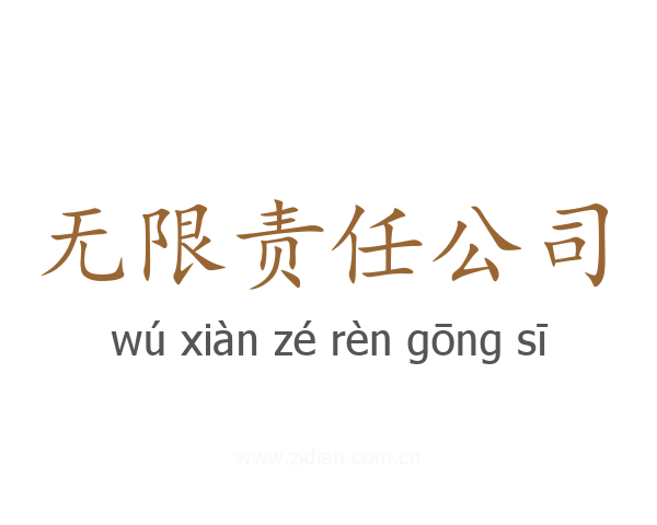 无限责任公司