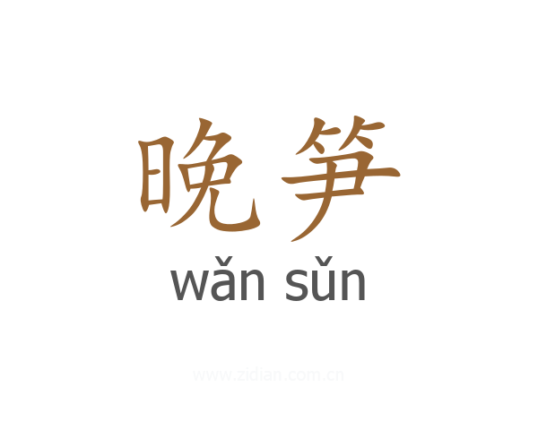 晚笋
