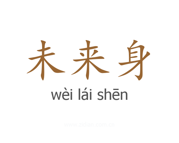 未来身