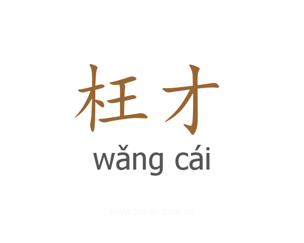 枉才