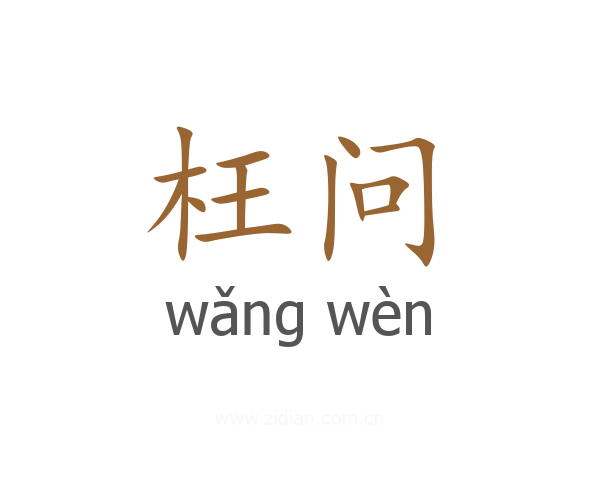 枉问