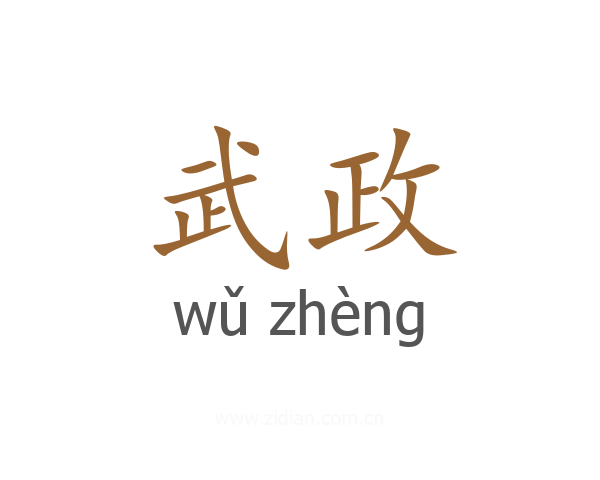 武政