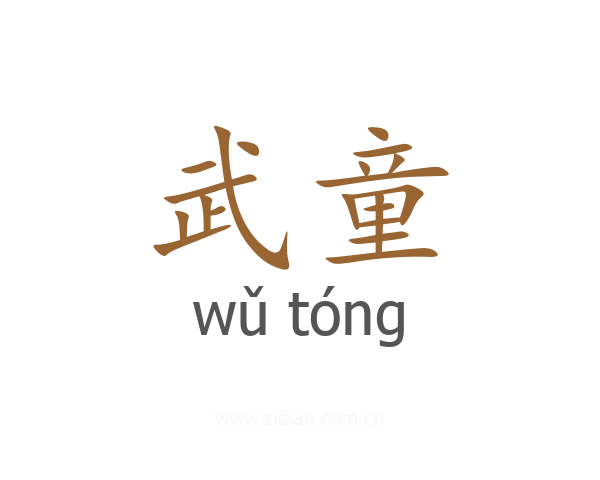 武童