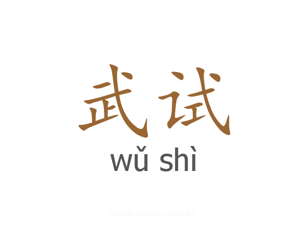 武试