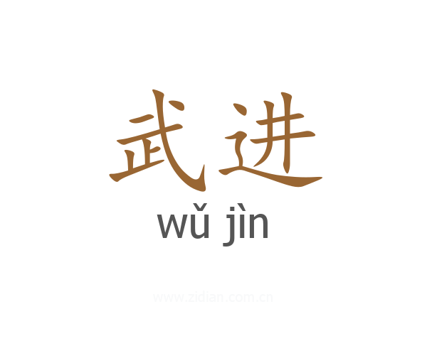 武进