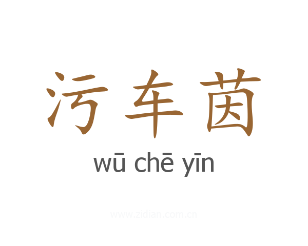 污车茵