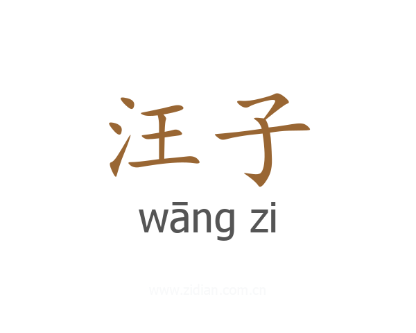 汪子
