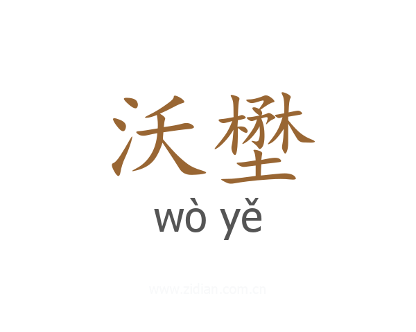 沃壄