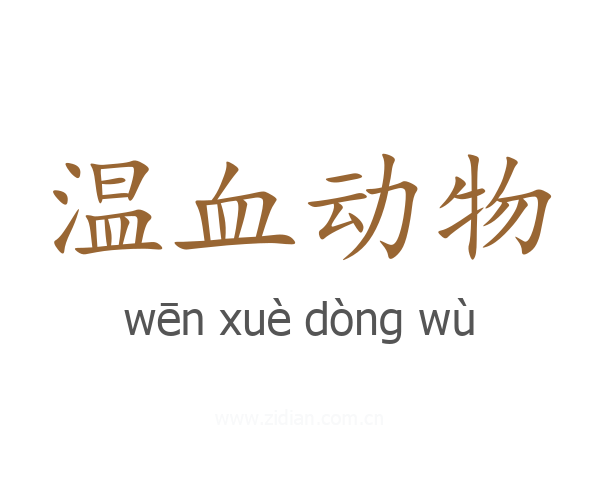 温血动物