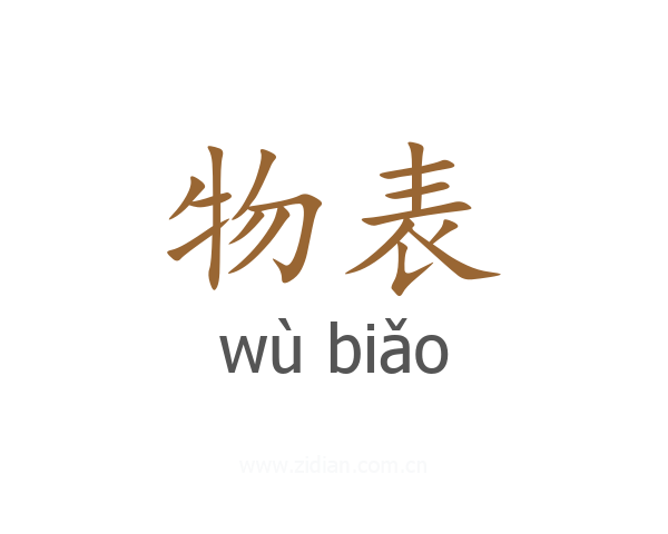 物表