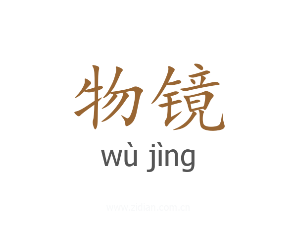 物镜