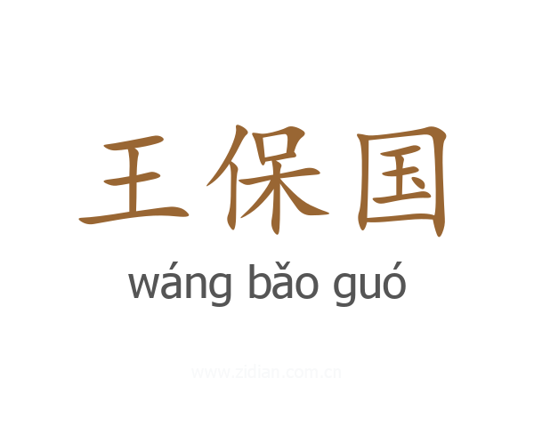 王保国