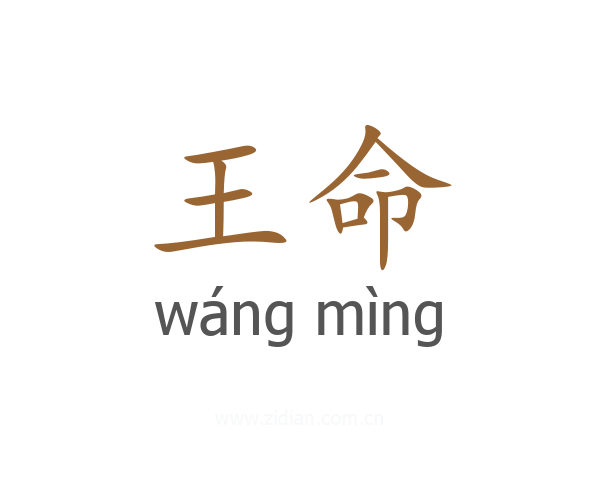 王命