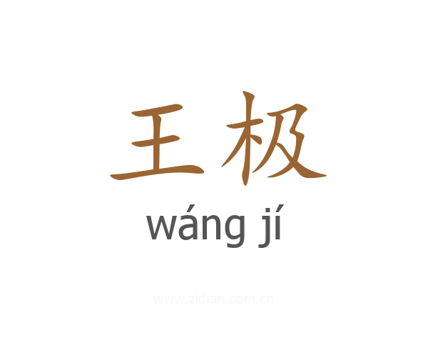 王极