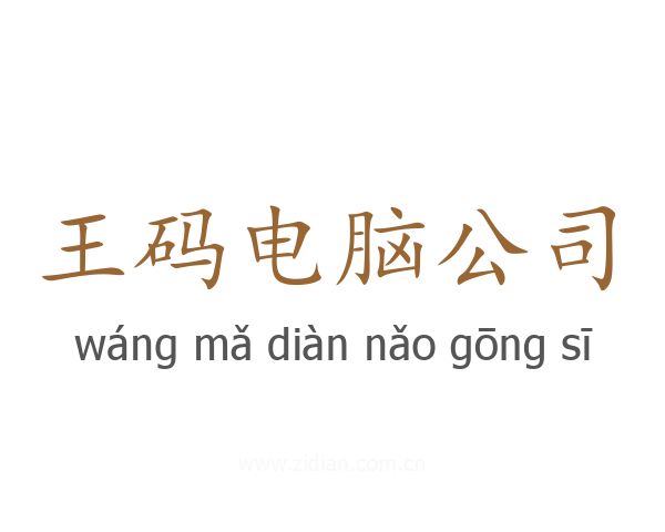 王码电脑公司