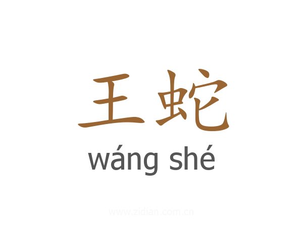 王蛇