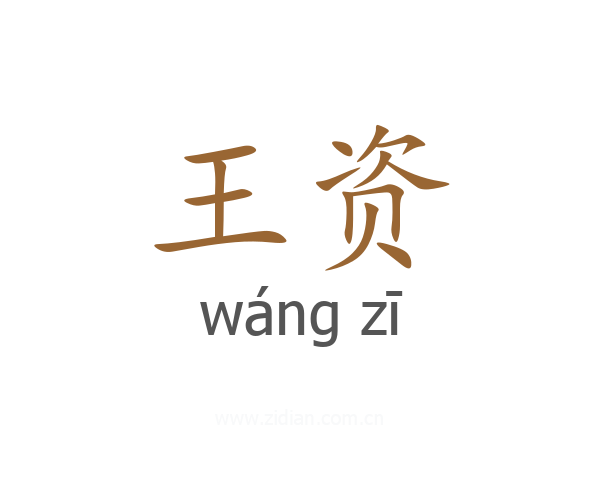 王资