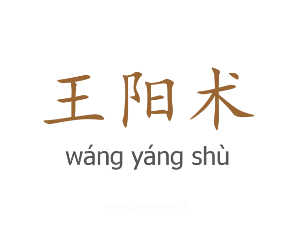 王阳术
