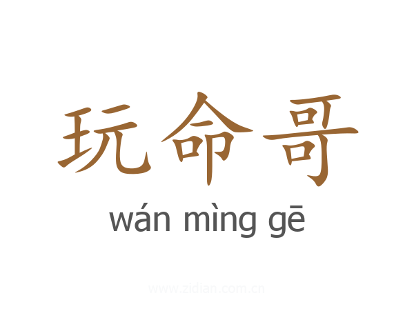 玩命哥