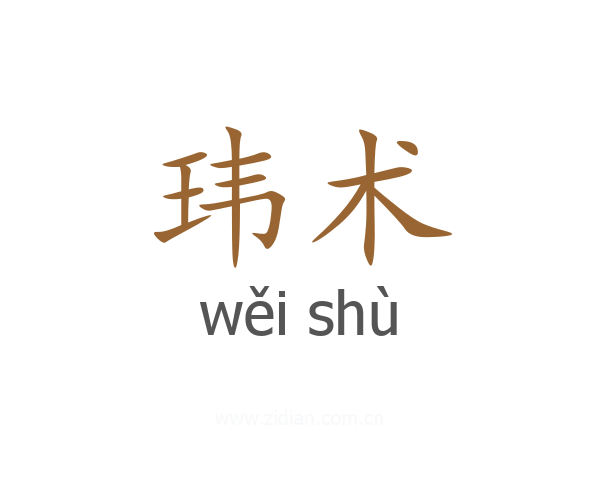 玮术