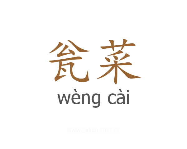 瓮菜