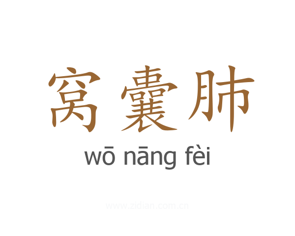 窝囊肺