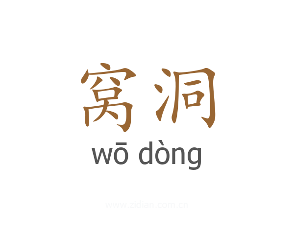 窝洞