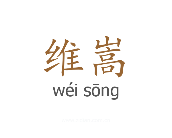 维嵩