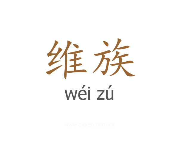 维族