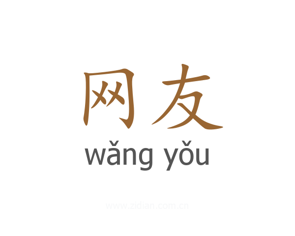 网友