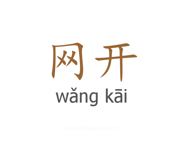 网开