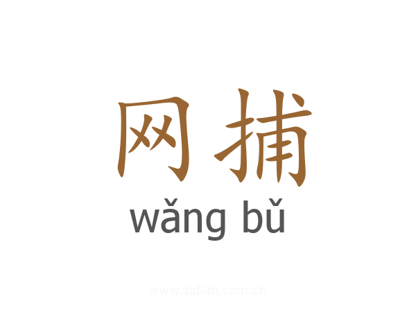 网捕