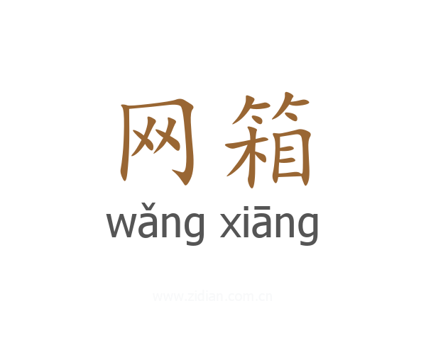 网箱